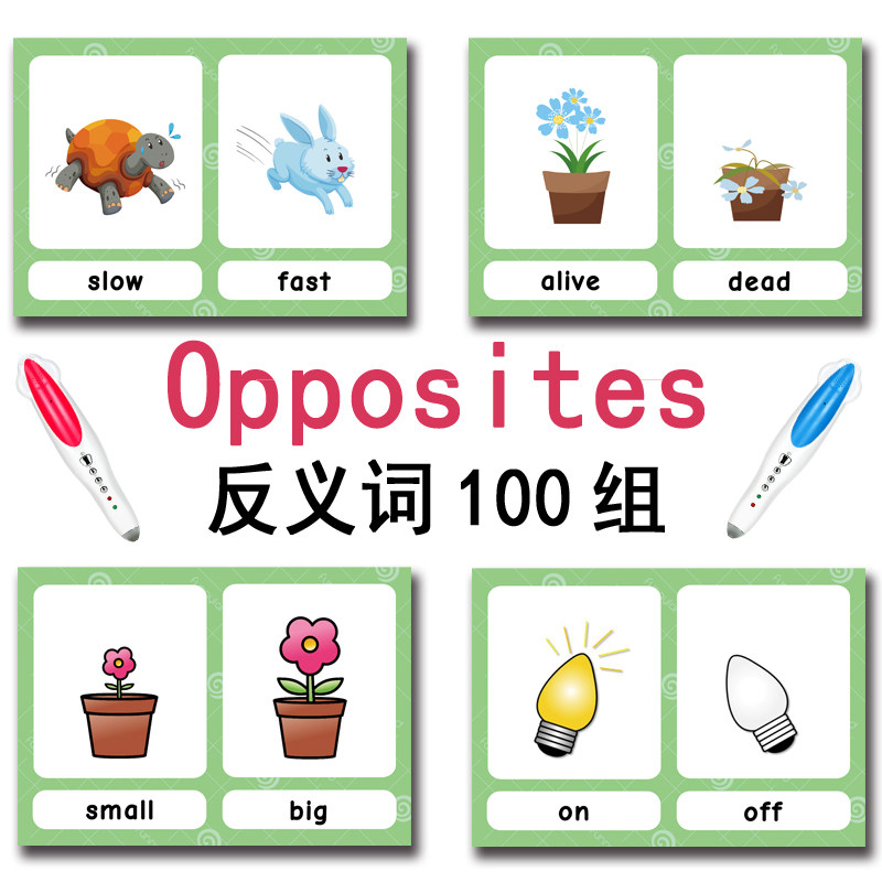The 100 Groups Opposites Flash - Kids Education Learning 评论和价格