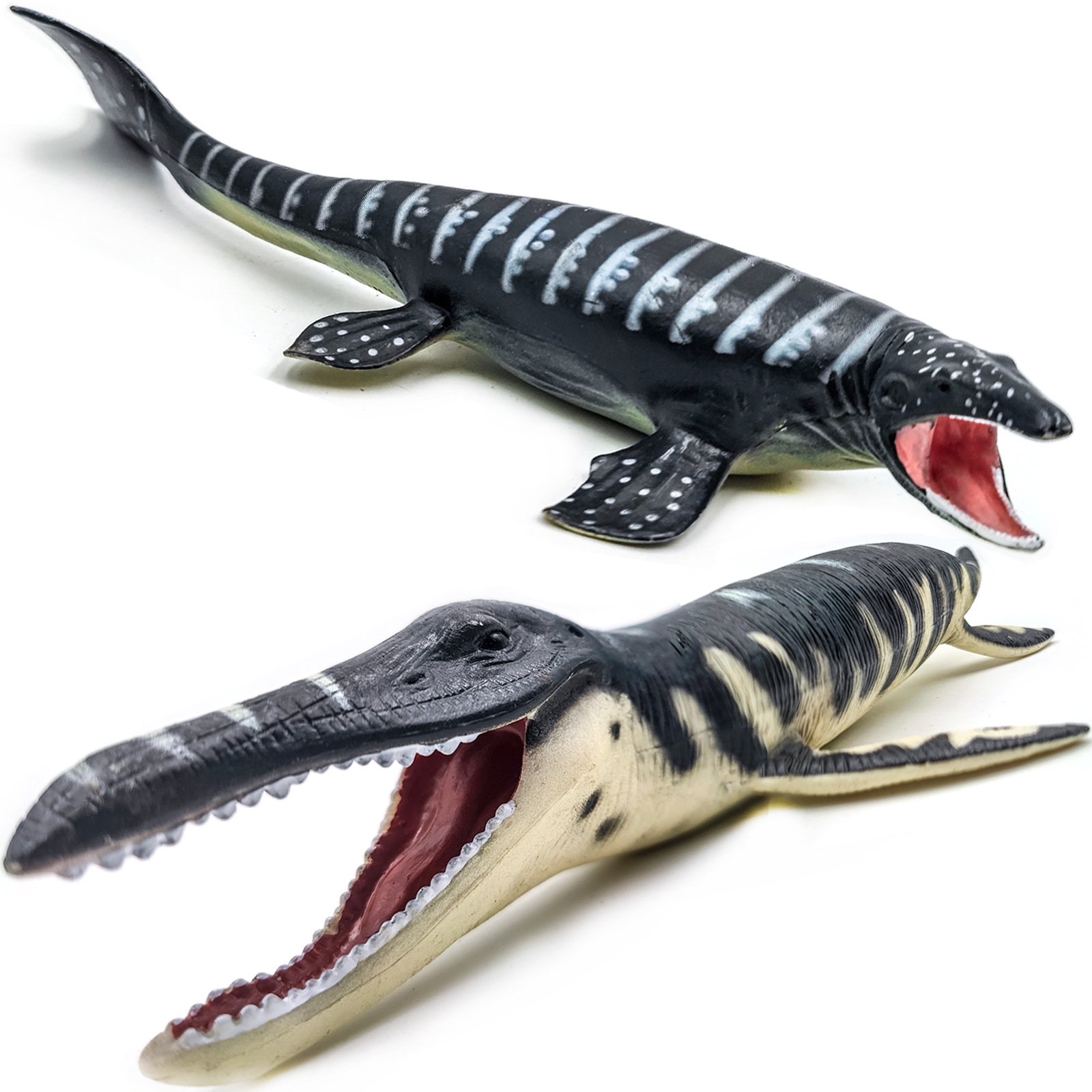 NEW Sea Life Animal Prehistori - Kids Education In Japan 评论和价格