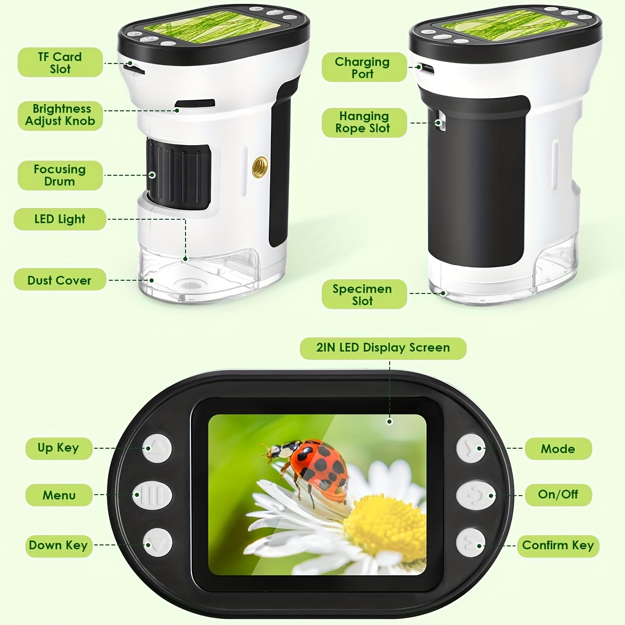 Kids Microscope Biological Kit - Kids Educational Videos 评论和价格